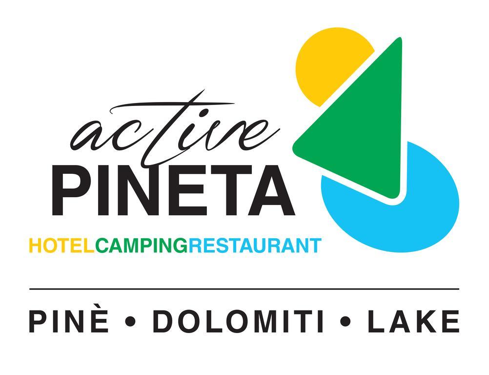 Hotel Pineta Baselga di Pine Exterior photo